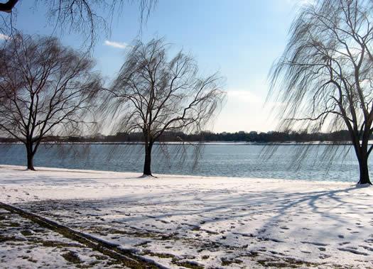 141-4196_IMG.jpg