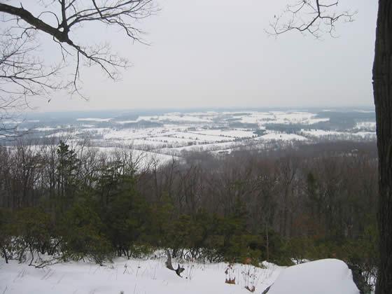 143-4313_IMG.jpg