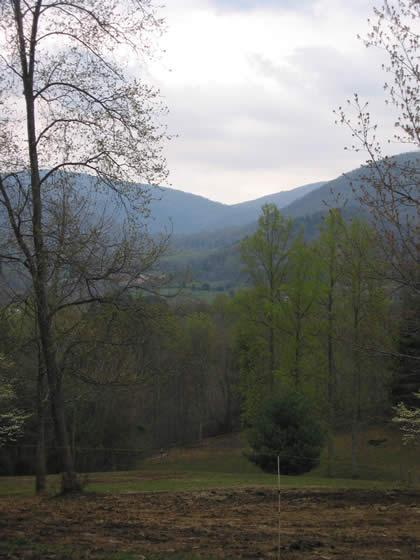 148_4834.jpg