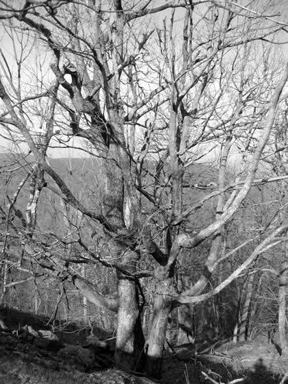 149_4906.jpg