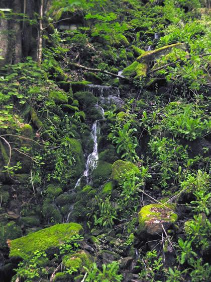 150_5032.jpg