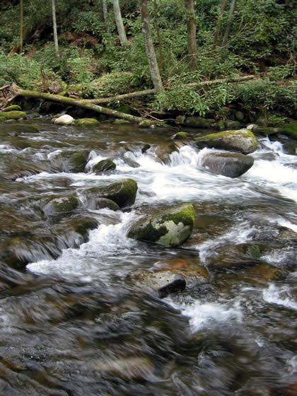 150_5045.jpg