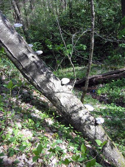 150_5050.jpg