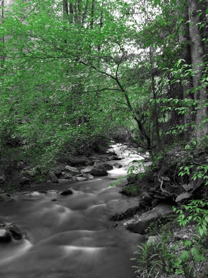150_5099_altered.jpg