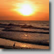 click to view full size