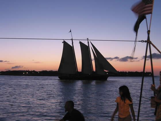154_5494.jpg