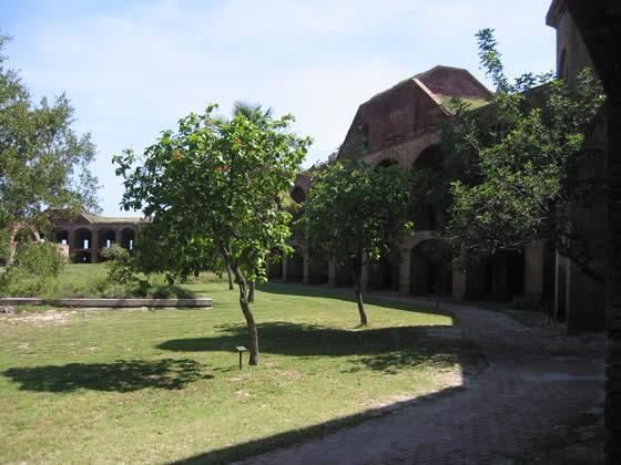 155_5534.jpg