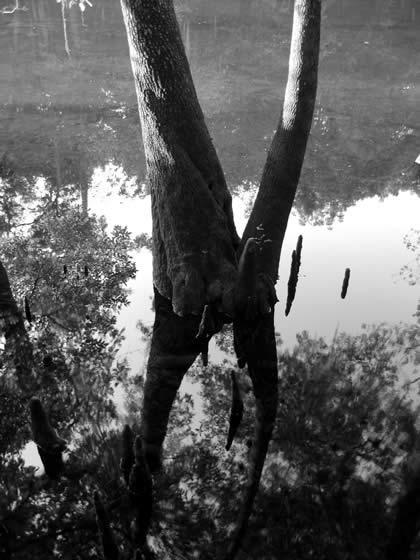 156_5602.jpg
