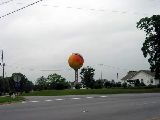 156_5681.jpg