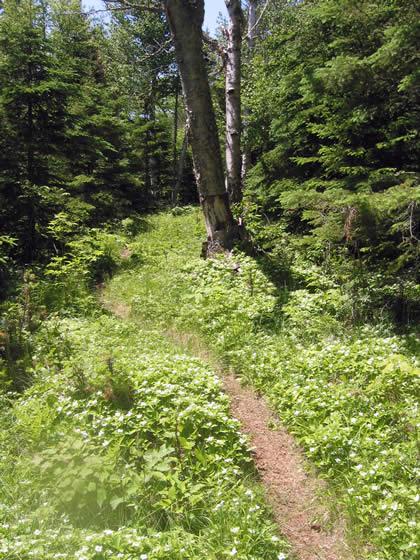 162_6255.jpg