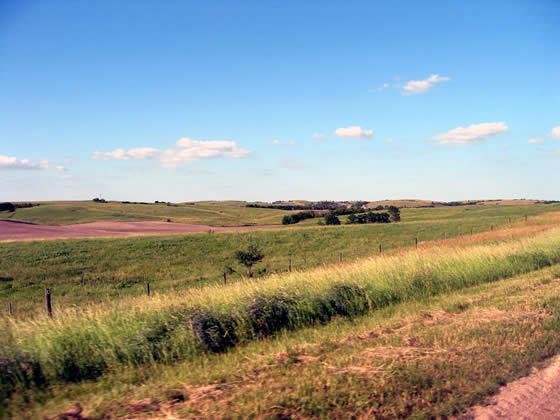 164_6420.jpg