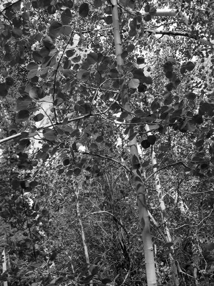 172_7242.jpg