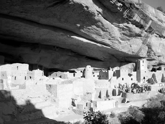 173_7331.jpg