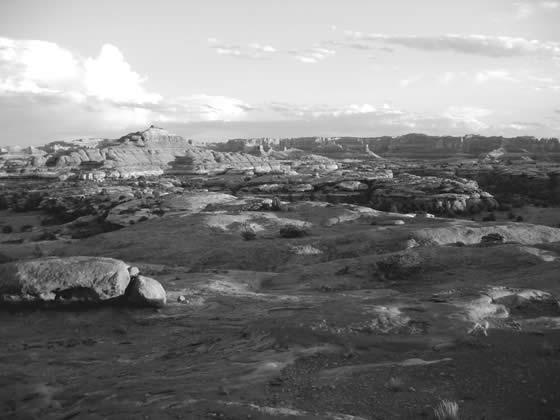 174_7442.jpg