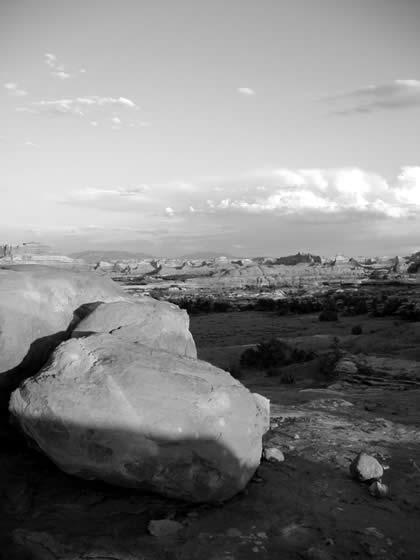 174_7449.jpg