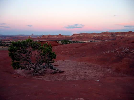 174_7474.jpg