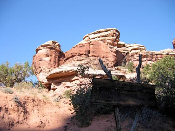 175_7502.jpg