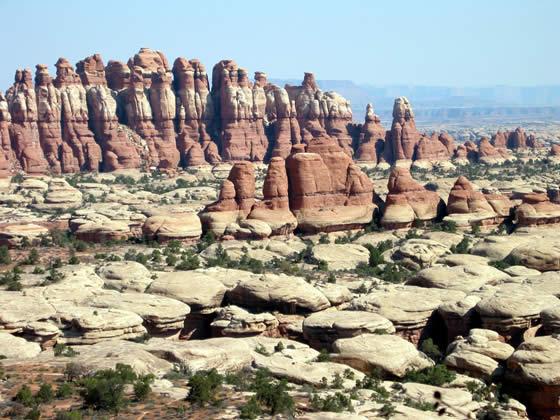 175_7505.jpg