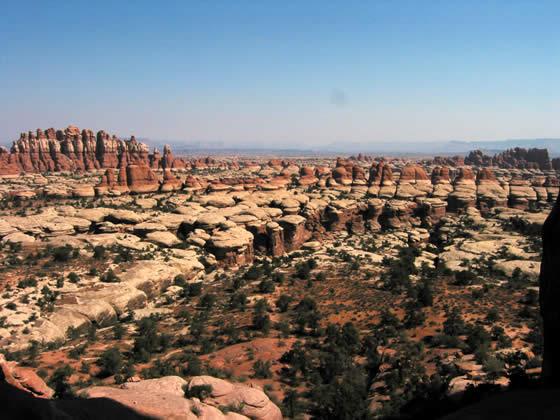 175_7520.jpg