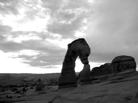175_7547.jpg