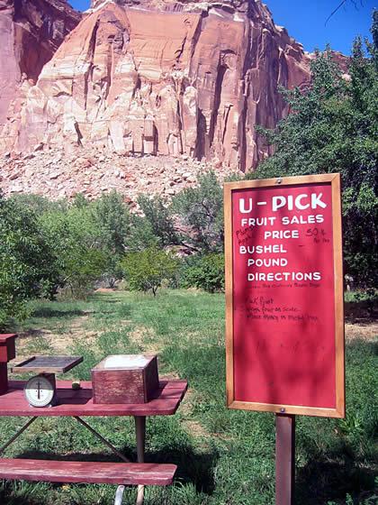 177_7745.jpg