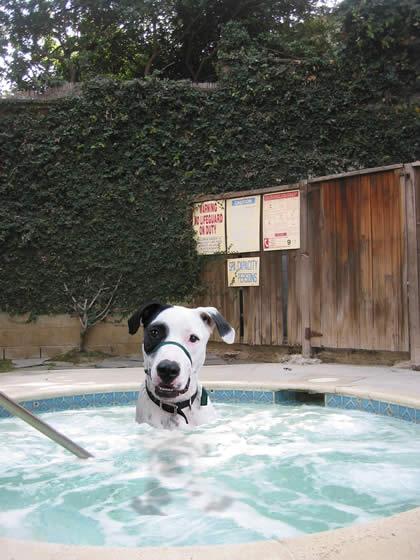 hottub_milo.jpg